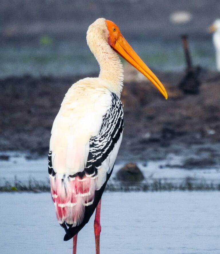 919766065379_status_8be6d8934090455f9c60984124bdadfc