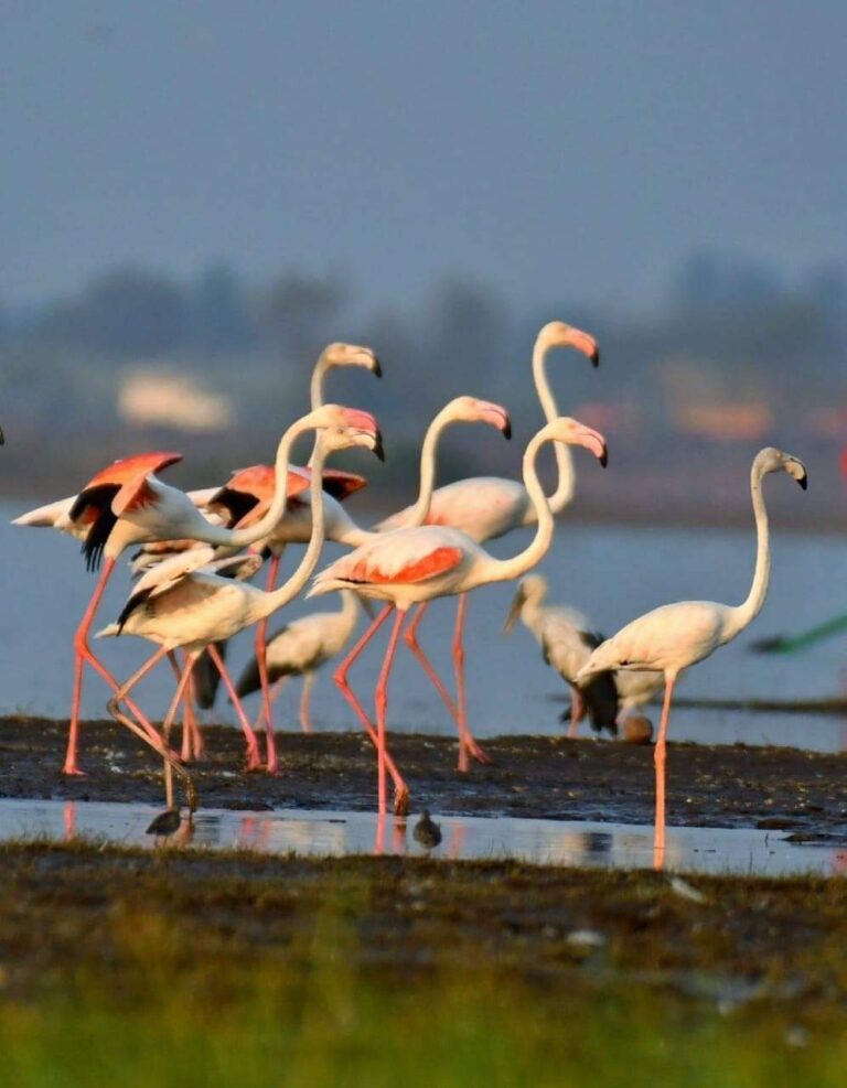 FB_IMG_1612000543983