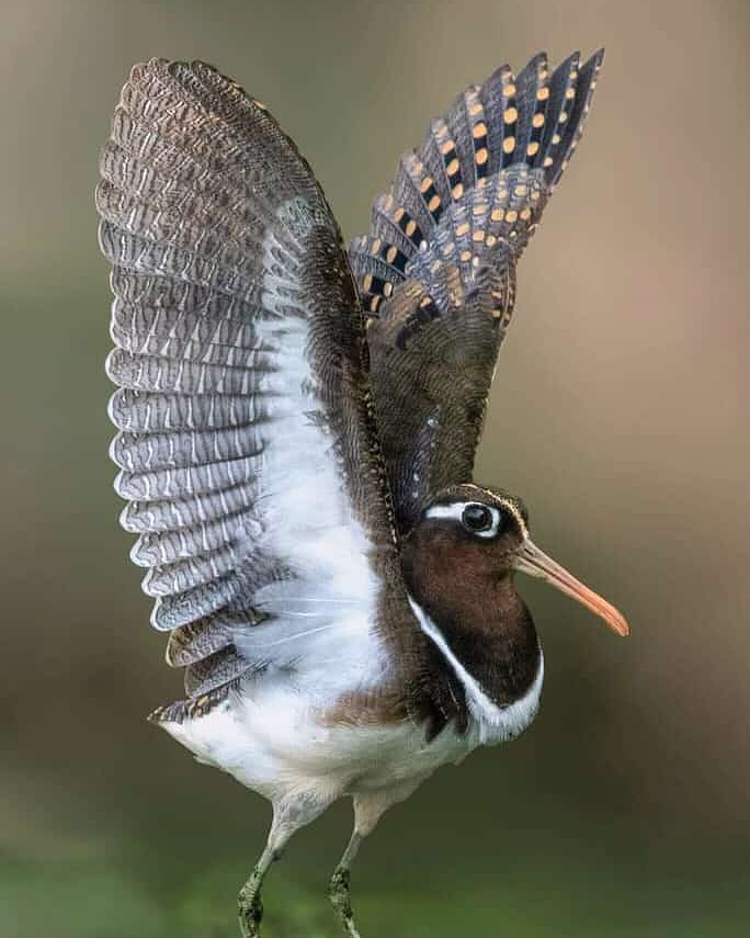 IMG_20210310_184410_914