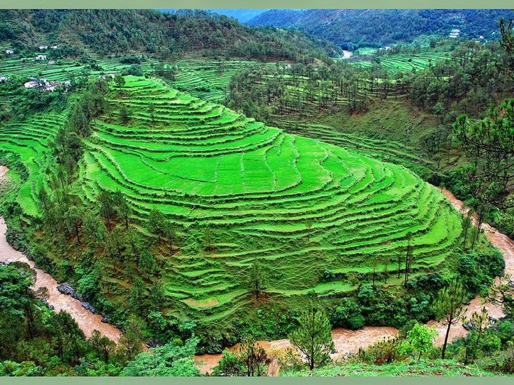 kausani-uttarakhand-__india_-__bharat_-__hindustan_-__nature_-__tourism_-__kausani_-__uttarakhand_