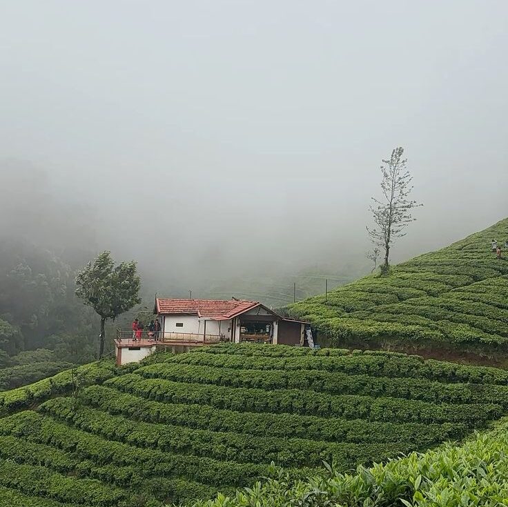 nilgiris_