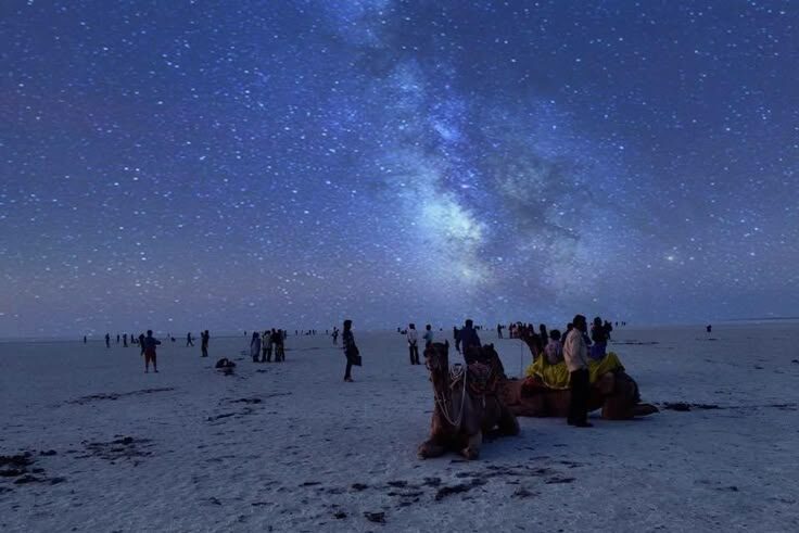 what-if-this-night-wasnt-a-blank-canvas-but-a-sky-full-of-gazillion-stars-_-rann-utsav_-greatrannofkutch-gujarattourism-gujarat-kutch-whitesaltdesert-starrynight-camels-rannutsav2017