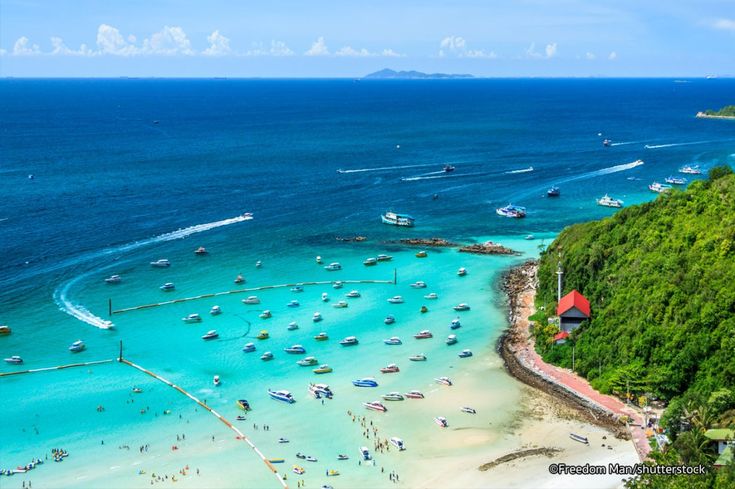 12-best-things-to-do-in-pattaya-what-is-pattaya-most-famous-for_-go-guides